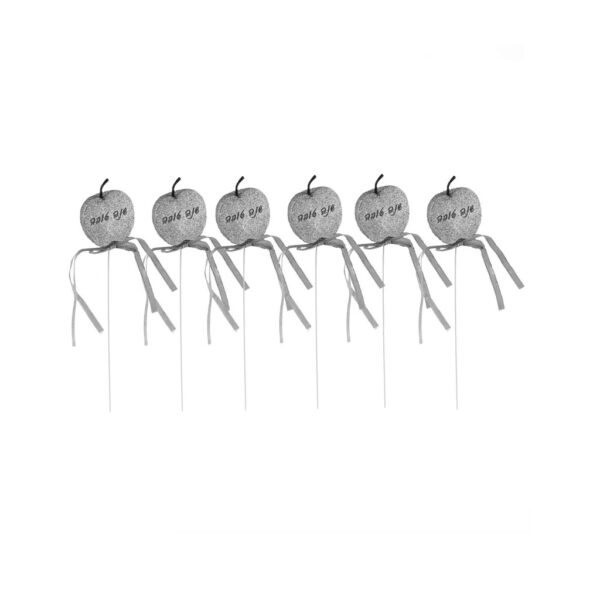 סט 6 חצאי תפוחים שנה טובה כסף