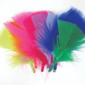 נוצות קטנות צבעוניות