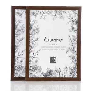 מסגרת תמונה A3
