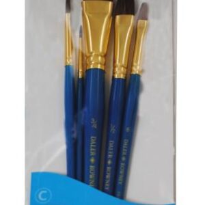 סט 5 מכחולים שיער טבעי דאלר ראוני