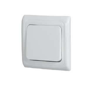 מפסק יחיד 10A