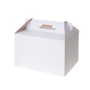 לאנץ' בוקס קטן לבן+ידית