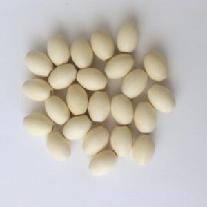 חרוזי עץ טבעי 15*20 מ"מ 24 יח'