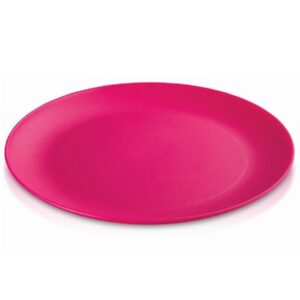 צלחת שטוחה קוטר 23.5 ס"מ FROST