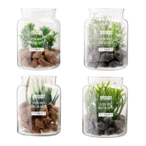 עציץ בטרריום M