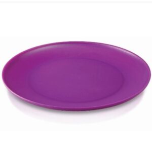 צלחת שטוחה 20.5 ס"מ FROST