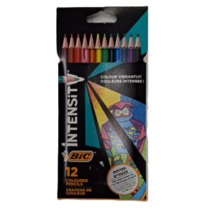 סט 12 עפרונות צבעוניים INTENSITV