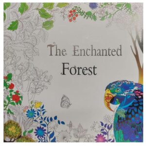 חוברת צביעה פנטזיית החלומות