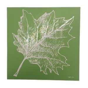 שבלונה דביקה TMS-301 עלה