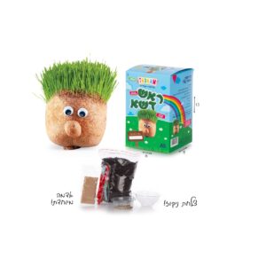 טדאם! ערכה להכנת ראש דשא