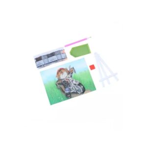 מארז שיבוץ אבנים אופנוען חתול