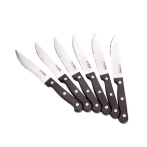 סט סכיני סטייק ARCOSTEEL