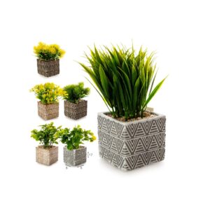 עציץ מלאכותי - פרח סקוטלנד