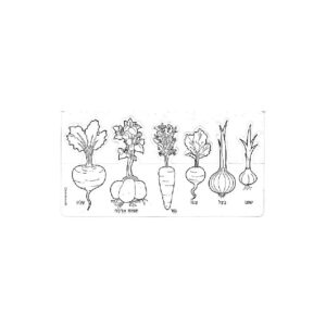 ירקות גינה - כרטיסיות יצירה