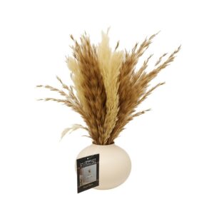 זר פאמפס באגרטל קרמיקה