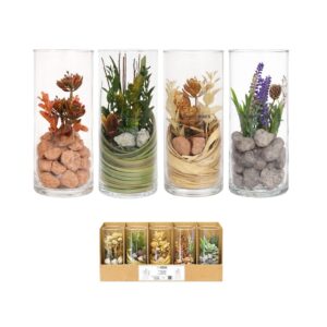 טרריום זכוכית עם צמחיה