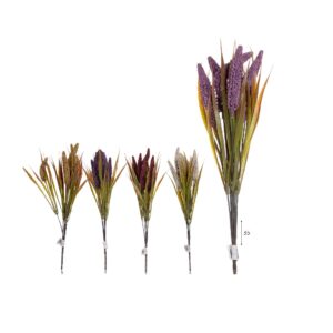 קנה סוף דקורטיבי- 7 יחידות