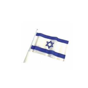 מארז 20 דגל בד לניפנוף 20*30 ס"מ